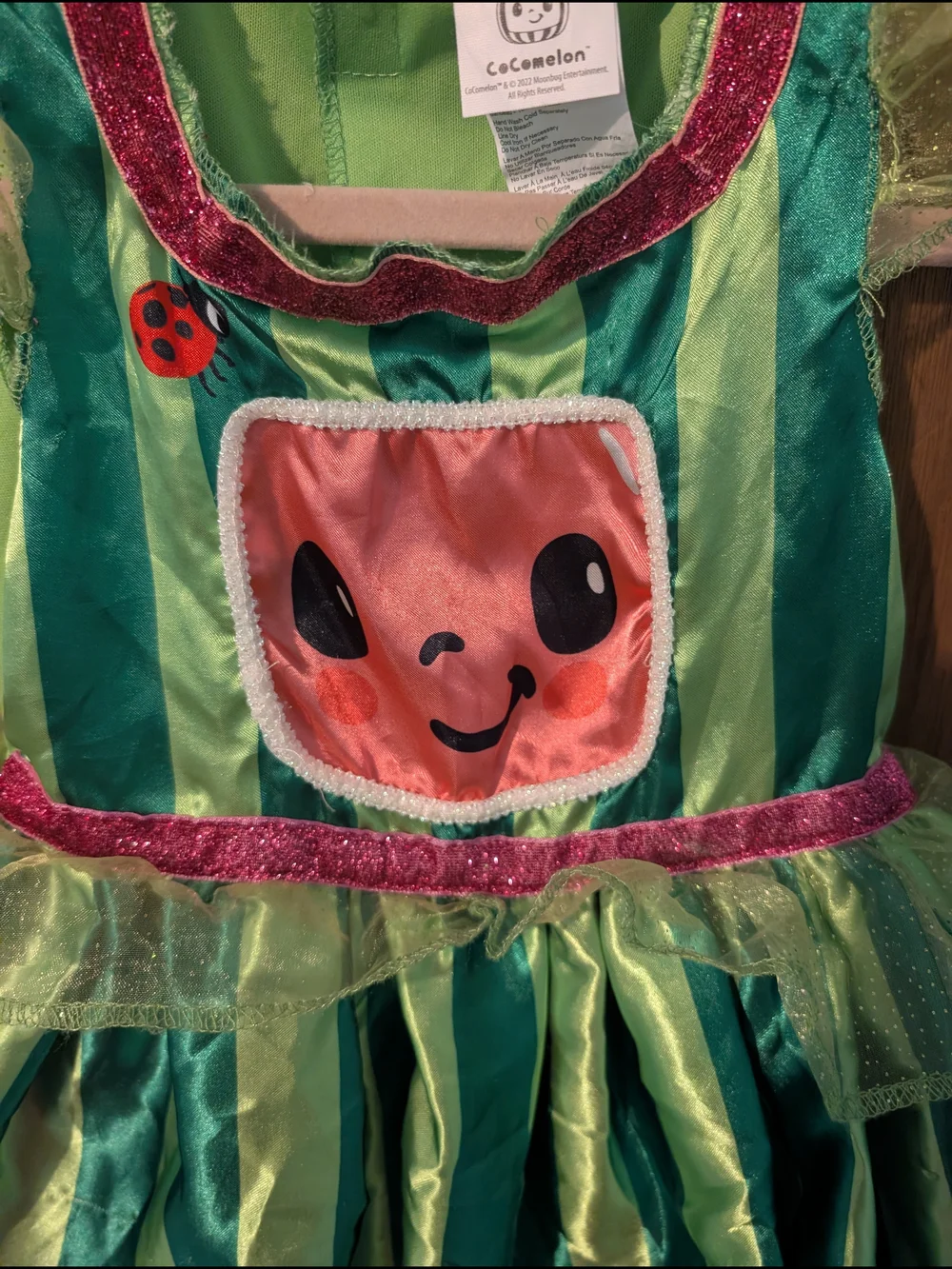 Whimsical Watermelon Kids Costume Dress - Green & Pink